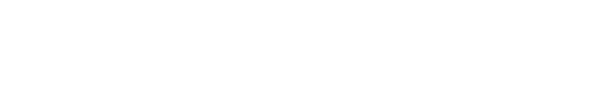 Zontes